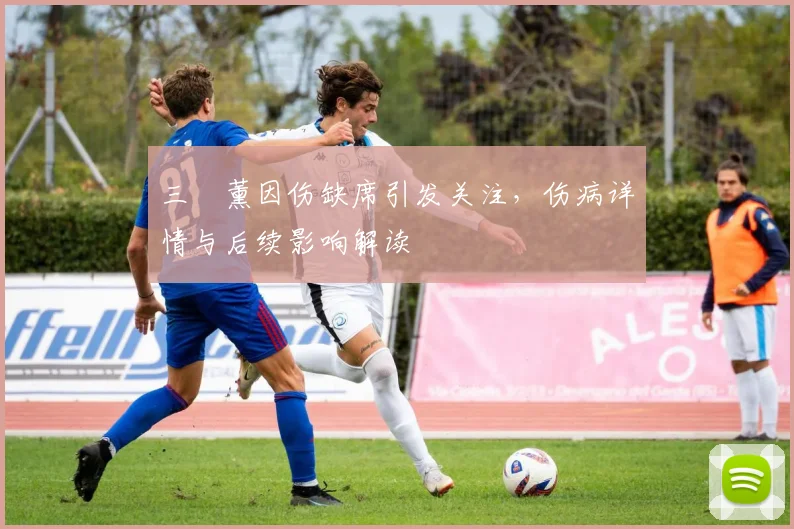 三笘薰因伤缺席引发关注，伤病详情与后续影响解读