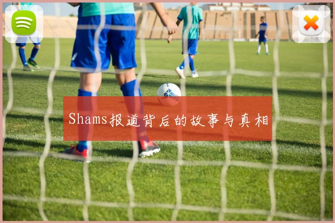 Shams报道背后的故事与真相